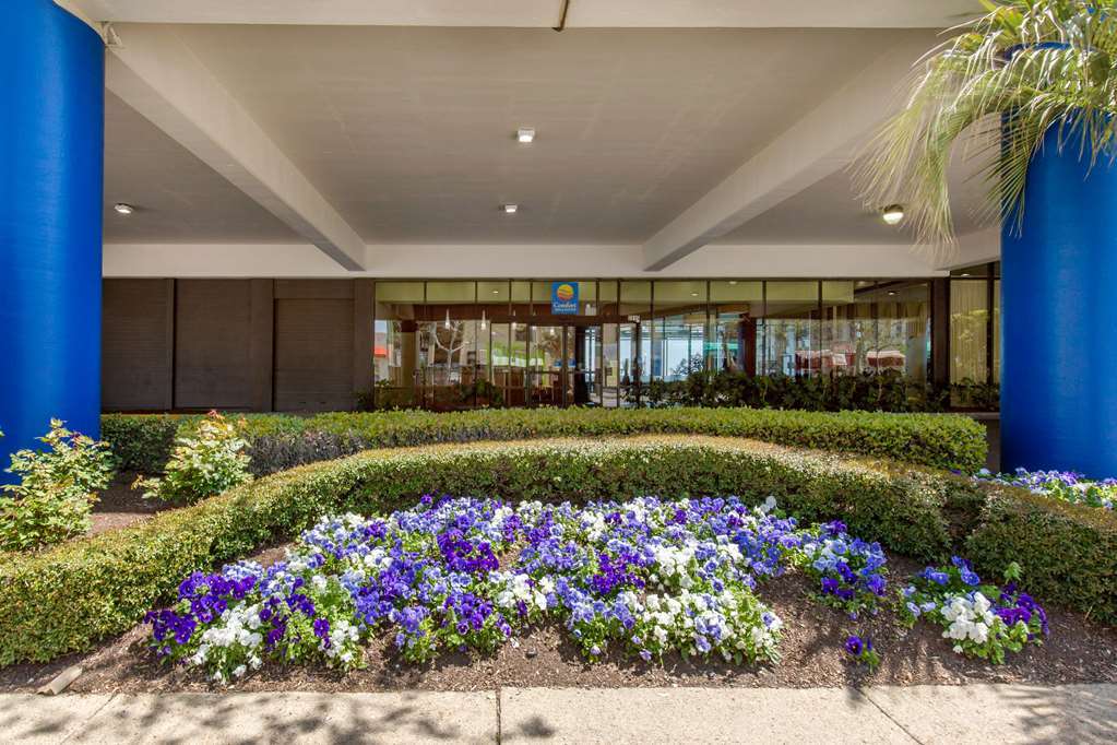 Coastal Hotel & Suites Virginia Beach - Oceanfront Exteriér fotografie